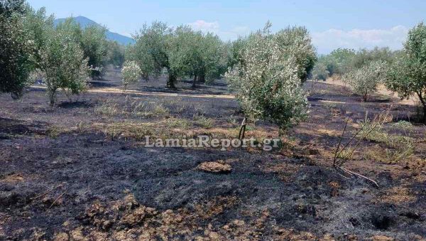 Τραγωδία! Πήγε να βάλει φωτιά σε ξερόκλαδα και έχασε τη ζωή του