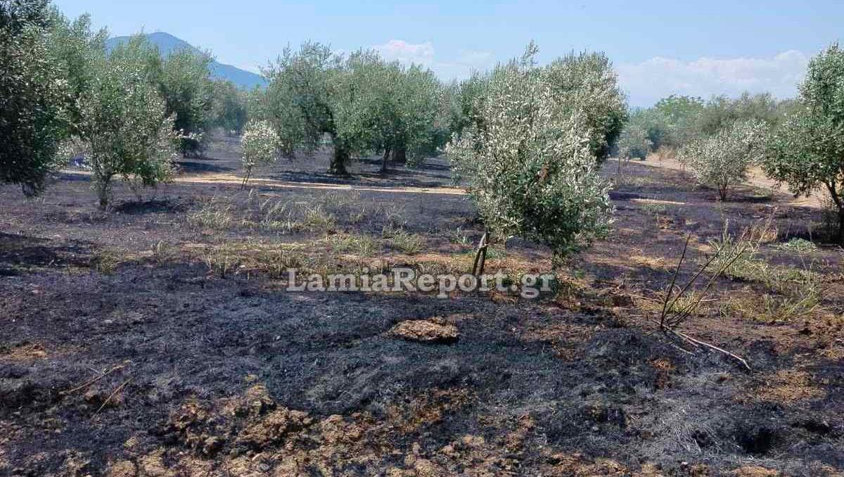 Τραγωδία! Πήγε να βάλει φωτιά σε ξερόκλαδα και έχασε τη ζωή του