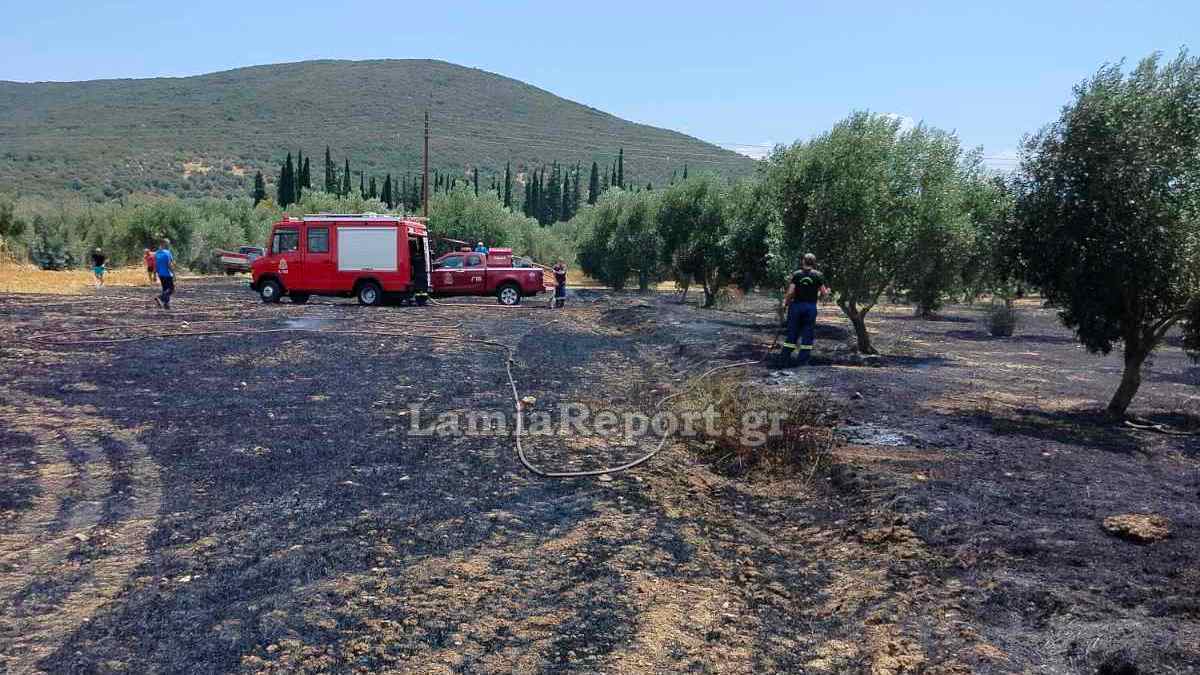 Πυρκαγιές: Δύο ακόμη συλλήψεις στη Στερεά για μη συμμόρφωση με τα απαγορευτικά