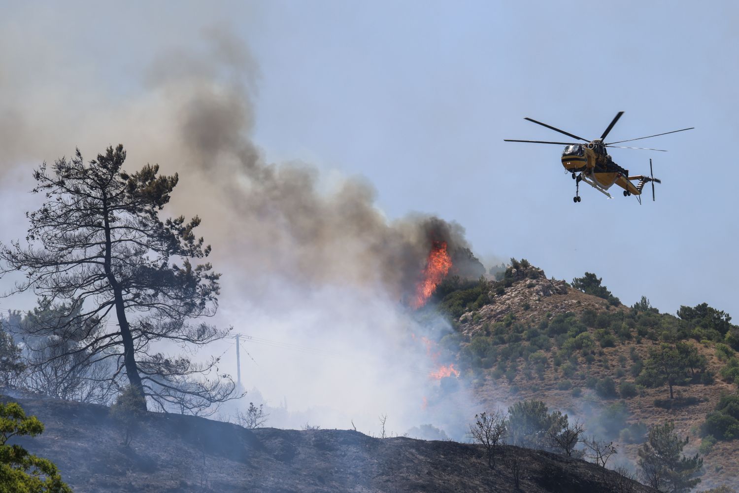 Meteo: Οι εκτάσεις που έχουν επηρεαστεί από τις 6 μεγάλες φωτιές που μαίνονται στη χώρα -Δείτε χάρτες