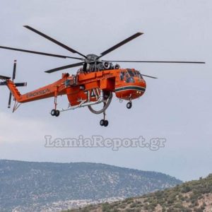 Μεγάλη πυρκαγιά στον Αλμυροπόταμο Ευβοίας - Ήχησε το 112