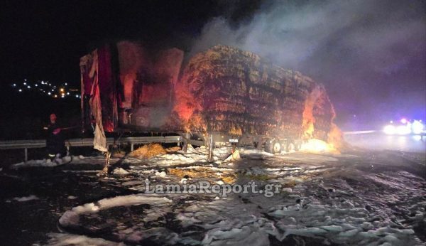 Νταλίκα φορτωμένη με άχυρα έπιασε φωτιά στον Ε65 (ΒΙΝΤΕΟ-ΦΩΤΟ)