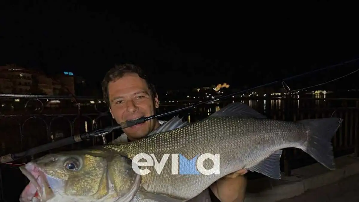 Ψαράς στην Εύβοια έβγαλε λαβράκι 6 κιλά με το καλάμι του – Εικόνες από την εντυπωσιακή ψαριά