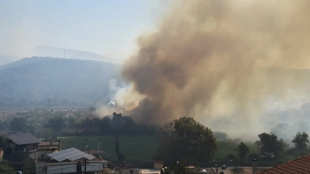 «Φούντωσε» ξανά η φωτιά στην Πρέβεζα -Απανωτά μηνύματα του 112 για εκκένωση περιοχών
