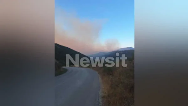 Φωτιά στην Πρέβεζα: Δύο τα πύρινα μέτωπα, κατευθύνονται προς Φιλιππιάδα