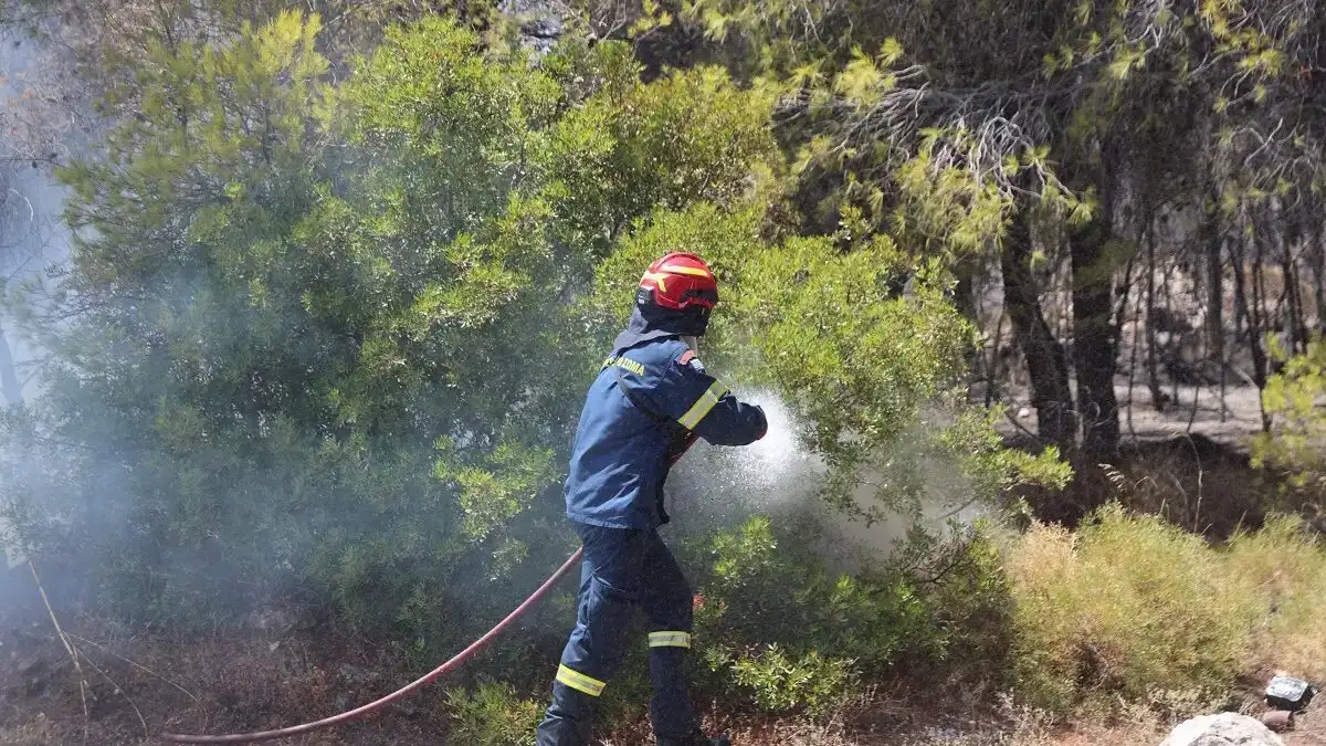 Φωτιά στη Θεσπρωτία στην περιοχή Μαλούνι: Επιχειρούν εναέρια μέσα – Ήχησε το 112 για «ετοιμότητα»