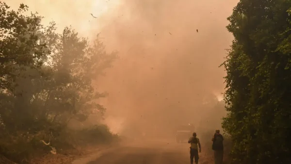 Φωτιά στην Αχαΐα: Συνελήφθη 25χρονος για εμπρησμό