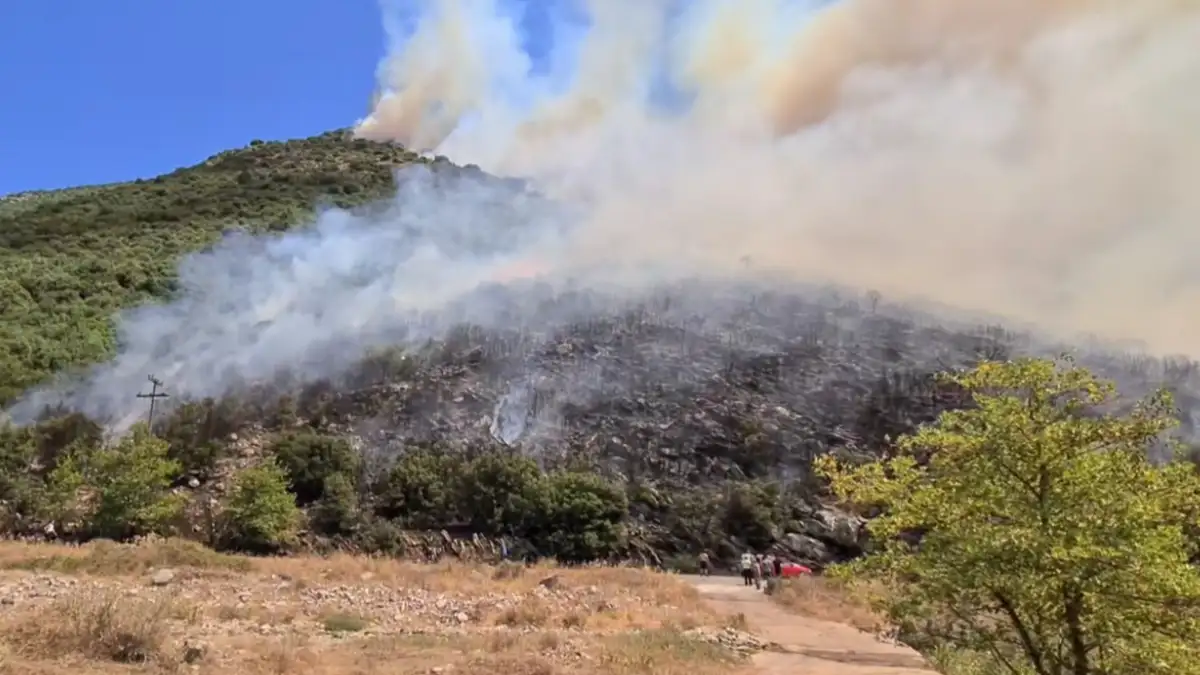 Φωτιά στα Καλάβρυτα στην περιοχή Λιβάδι: Εναέρια μέσα παλεύουν με τις φλόγες