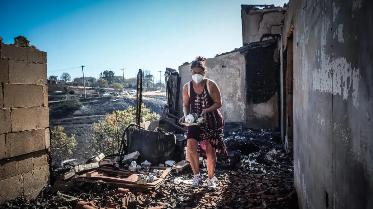 Φωτιά στο Κρυονέρι: Καταβλήθηκαν αποζημιώσεις σε 13 πληγέντες από την πυρκαγιά του Ιουλίου – Δόθηκαν 42.690 ευρώ