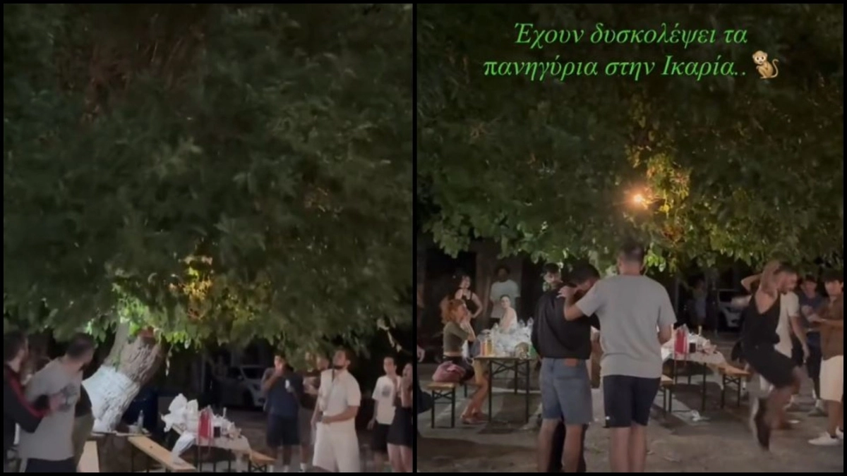 Η τρέλα πάει στην Ικαρία: Νεαρός έπεσε σαν Ταρζάν από την κορυφή δέντρου και έσυρε τον χορό