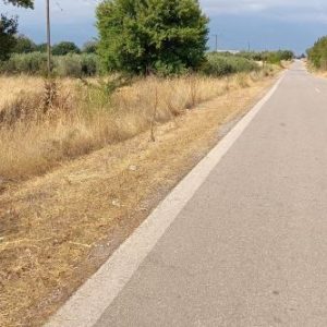 Πωλείται επαγγελματικό αγροτεμάχιο στη Μαυρομαντήλα