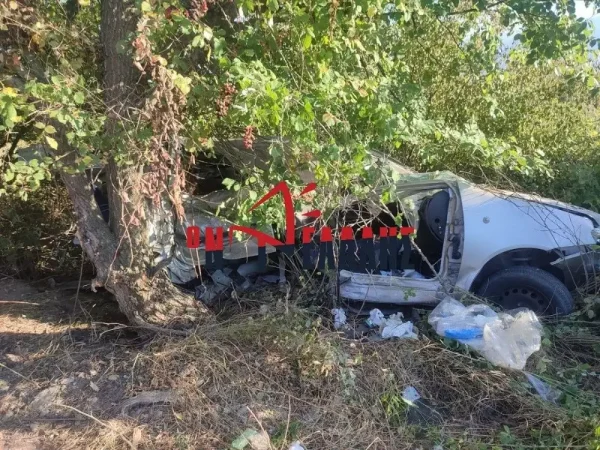 Πιερία: Συγκλονίζει η γιαγιά της 9χρονης που σκοτώθηκε στο τροχαίο – «Οι γονείς της είναι σε σοκ, τα παιδιά φορούσαν ζώνη»