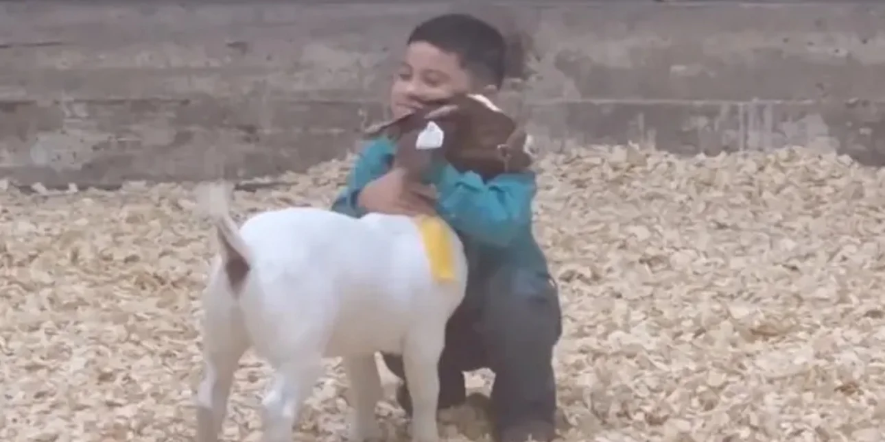 5χρονος έλιωσε το διαδίκτυο με την τρυφερή αγκαλιά στο κατσικάκι του -Το βίντεο με τα εκατομμύρια view