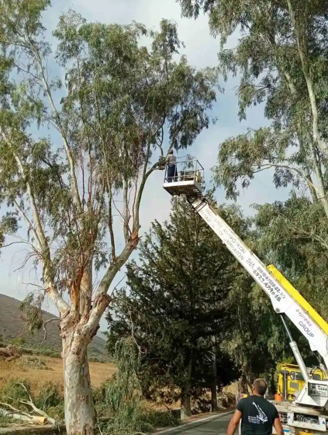 Χρηματοδότηση για κλαδοκοπές και εργασίες οδικής ασφάλειας στη Φθιώτιδα