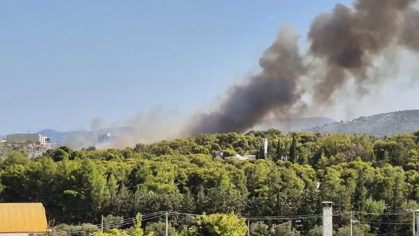 Φωτιά στην Παιανία κοντά στην Αττική Οδό – Απειλείται και εταιρεία