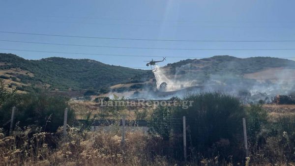 Πυρκαγιά στον Άγιο Στέφανο Δομοκού - Σηκώθηκαν PZL και ελικόπτερα