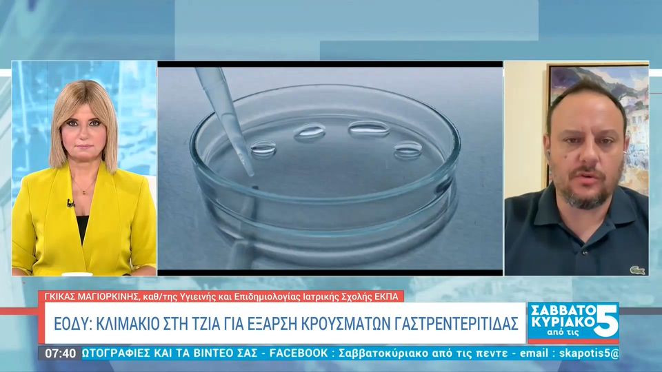 Επιδημία γαστρεντερίτιδας στη Τζιά: «Πιθανότερη αιτία ο νοροϊός, δύσκολο να υπάρχει μόλυνση νερού», λέει ο Μαγιορκίνης