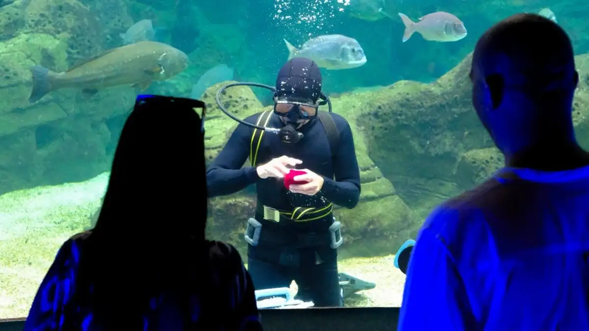 Κρήτη: Πρόταση γάμου – έκπληξη με φόντο τον βυθό του Ενυδρείου