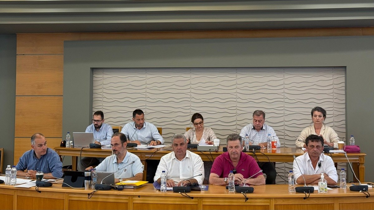 Περιφερειακό Συμβούλιο Στερεάς: Προτάσεις και διεκδικήσεις για αντιπυρική θωράκιση