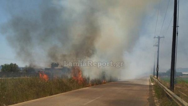 Φάρσαλα: Προκάλεσε πυρκαγιά και συνελήφθη