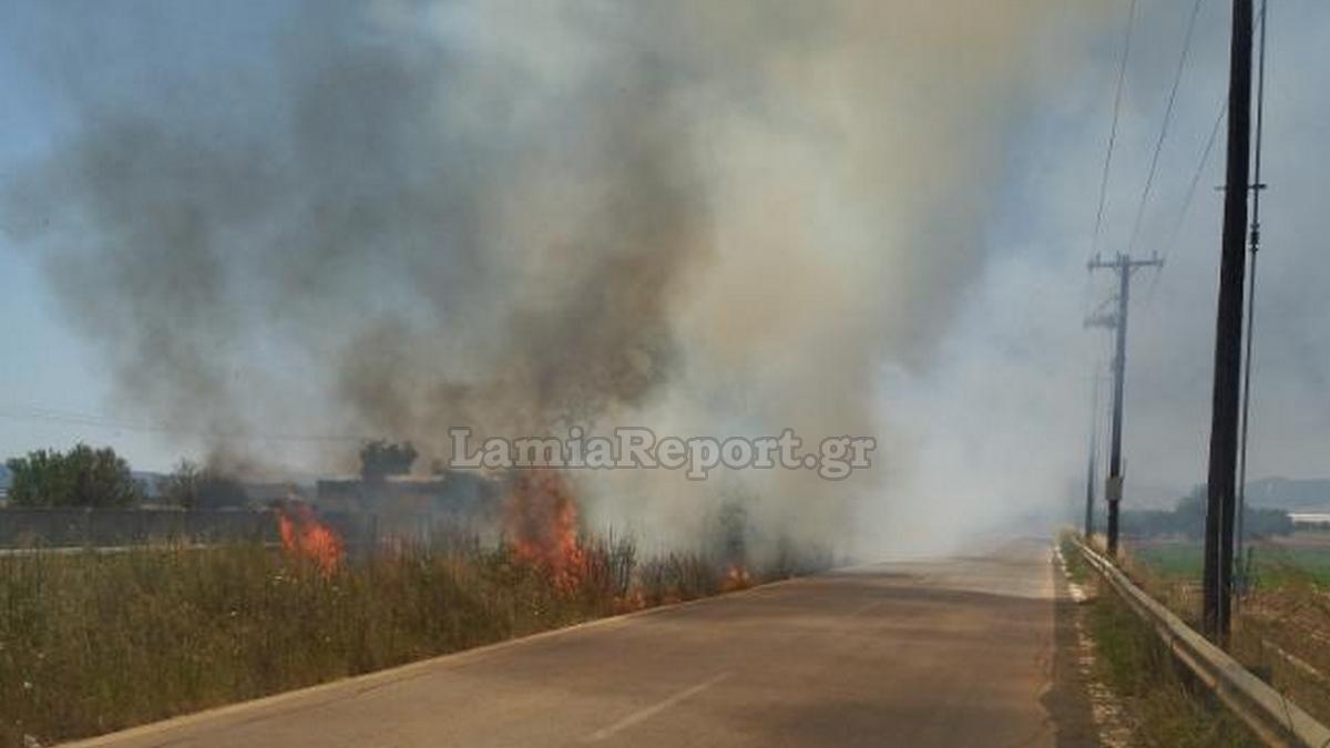Φάρσαλα: Προκάλεσε πυρκαγιά και συνελήφθη