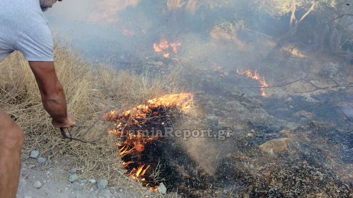 Επικίνδυνη πυρκαγιά στη Γλύφα - Στη μάχη και οι κάτοικοι με πυροσβεστήρες και κλαδιά (ΦΩΤΟ-ΒΙΝΤΕΟ)