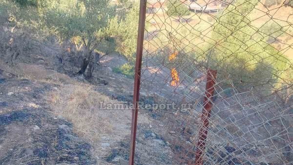 Πολιτική Προστασία Δήμου Στυλίδας: Αυστηρή προειδοποίηση απαγόρευση χρήσης πυρός