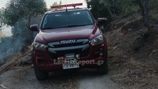 Λαμία: Προσήχθησαν ως ύποπτοι για απόπειρα εμπρησμού δυο νεαροί