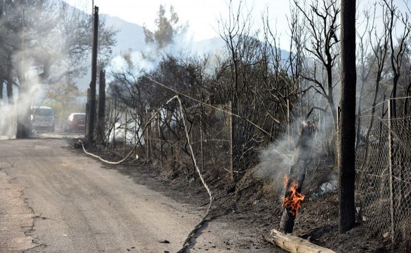 ΔΕΔΔΗΕ: Αναβάλλονται οι προγραμματισμένες διακοπές ρεύματος στο Δήμο Λοκρών λόγω της πυρκαγιάς στην Αχαΐα
