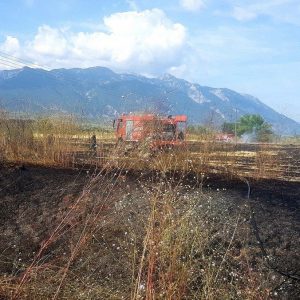 Φθιώτιδα: Από το ένα άκρο του νομού στο άλλο τρέχουν οι πυροσβέστες - Σηκώθηκαν τα PZl