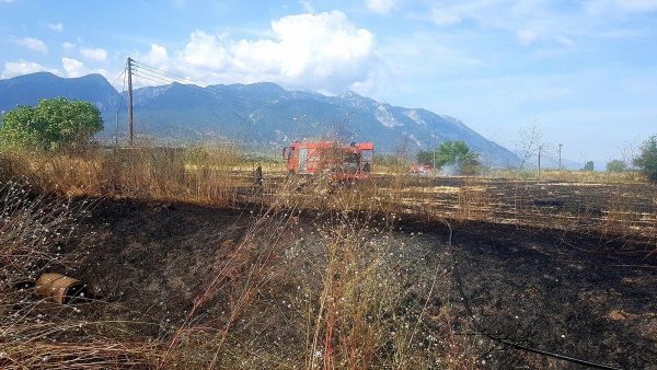 Πυρκαγιά λίγο μετά τα σπίτια στη νότια Λαμία (ΦΩΤΟ)