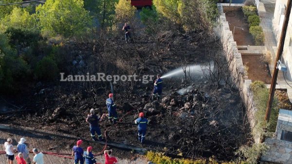 Πυρκαγιά δίπλα στα σπίτια στον Θεολόγο Φθιώτιδας - Σώθηκαν χάρη στην άμεση κινητοποίηση της Πυροσβεστικής - ΒΙΝΤΕΟ
