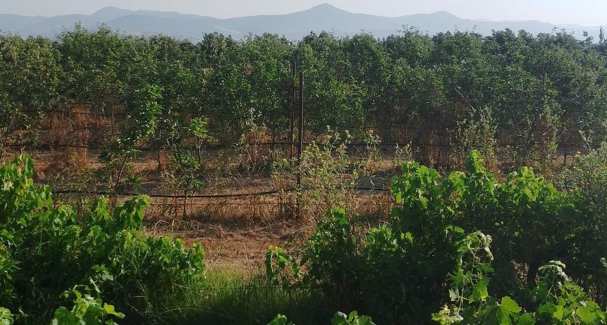Πωλείται οικόπεδο στο Κόμμα
