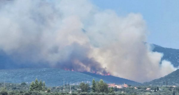 Φωτιά στα Πετράλωνα Μεσσηνίας: Μήνυμα από το 112 για εκκένωση προς Μελιγαλά