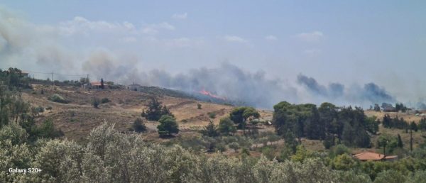 Μεγάλη φωτιά τώρα στην Κερατέα