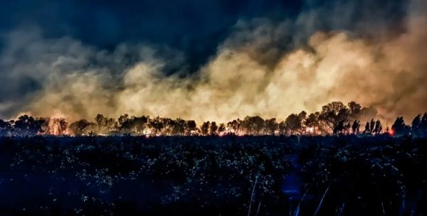 Φωτιές σε Αιτωλοακαρνανία και Πρέβεζα: Εξετάζεται το ενδεχόμενο εμπρησμού – Κλιμάκιο της Πυροσβεστικής στις πυρόπληκτες περιοχές