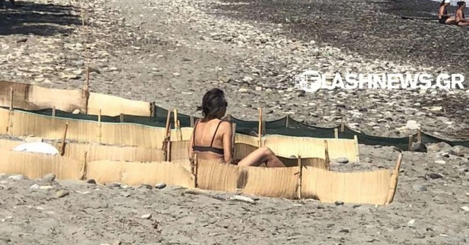 Απίστευτο, κι όμως συνέβη: Έκανε ηλιοθεραπεία μέσα σε προστατευμένο χώρο για χελώνες στα Χανιά