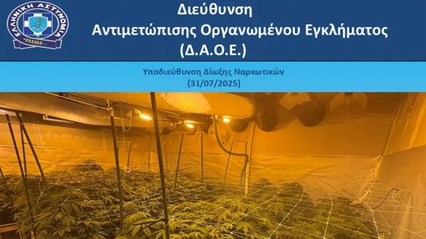 Φυτώριο κάνναβης μέσα σε μονοκατοικία της Ανατολικής Αττικής – Είχαν παραγωγή όλο το χρόνο