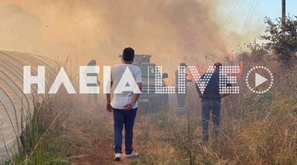 Πυρκαγιά στα Λεχαινά Ηλείας - Μήνυμα 112 για ετοιμότητα