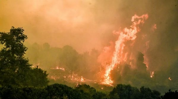 Αρχαία Ολυμπία: Σύλληψη και πρόστιμο σε 23χρονη για εμπρησμό τρεις φορές στο ίδιο σημείο