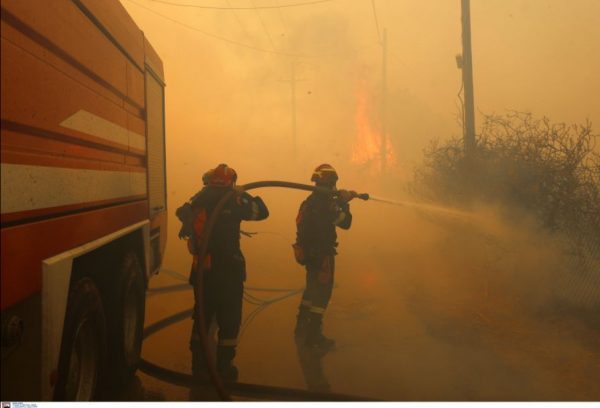 Κερατέα: Σκυλάκι εγκλωβισμένο στις φλόγες – Συγκλονιστική προσπάθεια διάσωσης