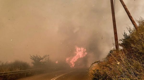 Πυρκαγιά στα Μέγαρα: Συνελήφθη άνδρας για εμπρησμό – Του επιβλήθηκε πρόστιμο άνω των 4.000 ευρώ