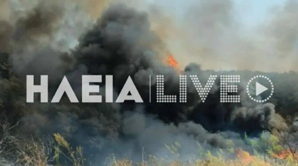 Πυρκαγιά στην Ηλεία στην περιοχή Καπελέτο: Ήχησε το 112, σηκώθηκαν εναέρια μέσα