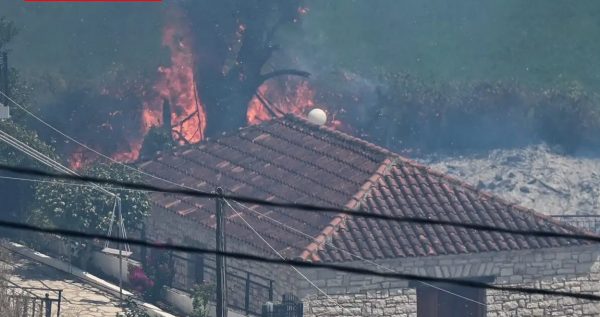 Πυρκαγιά στην Πρέβεζα: Σε κατάσταση έκτακτης ανάγκης ο Δήμος Ζηρού – Κατεπείγουσα έρευνα για εμπρησμό