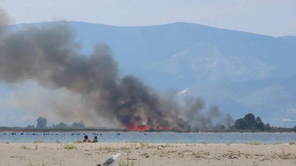 Πυρκαγιά ξέσπασε στο Δήμο Νέστου