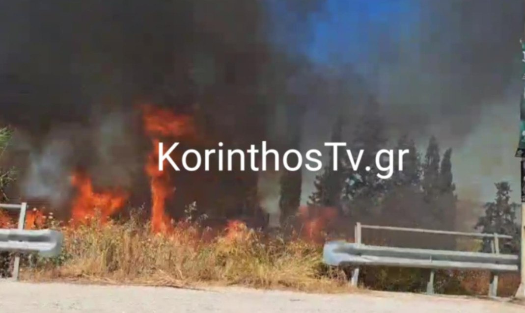 Πυρκαγιά στο Περιγιάλι Κορινθίας – Ισχυρές δυνάμεις στο σημείο