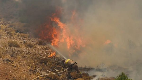 Πυρκαγιά στα Γιάννενα στην περιοχή Βοβούσα – Επιχειρούν και εναέρια μέσα