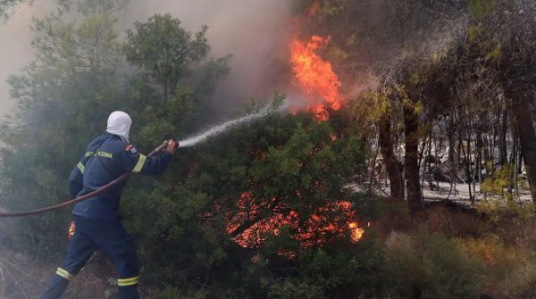 Πυρκαγιά στην Αρκαδία στον δήμο Μεγαλόπολης – Επιχειρούν εναέρια μέσα