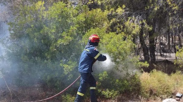 Πυρκαγιά στην Μεσσηνία – Επιχειρούν εναέριες δυνάμεις