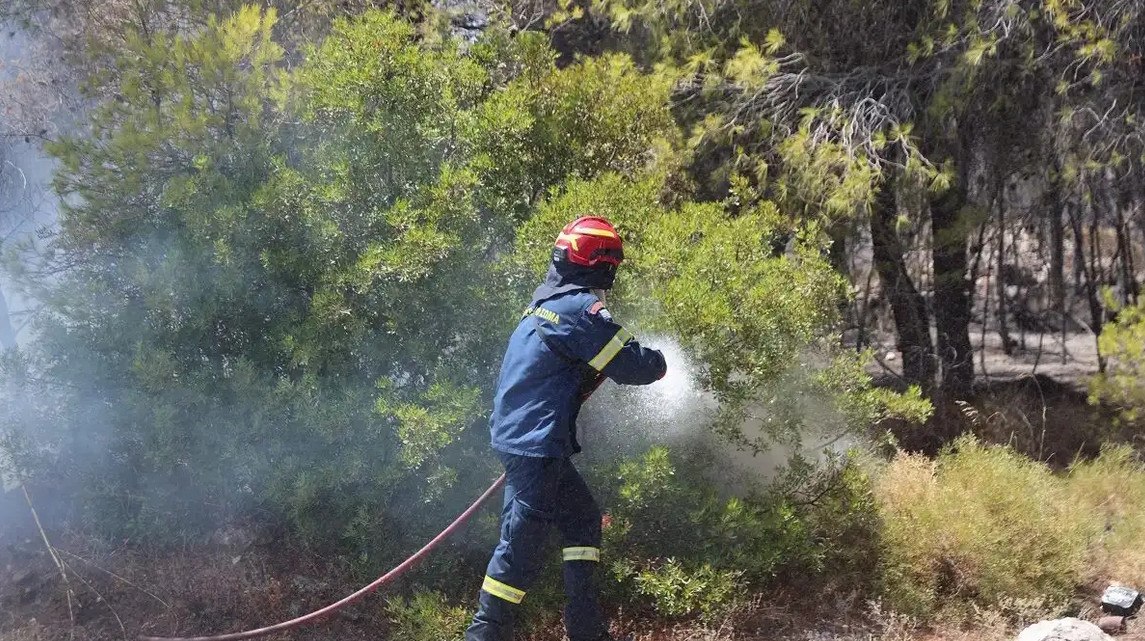 Πυρκαγιά στην Μεσσηνία – Επιχειρούν εναέριες δυνάμεις